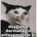 duyğulrm
darmadağın
anlayamazsın ki