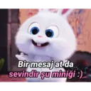 Bir mesaj at da
sevindir şu miniği :)