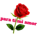 Te Amo 15