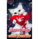 Te Amo 12