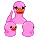 Pink Duck ️Nazaralnazrii ️ 3