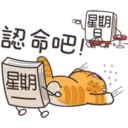 星期一大魔王1.2靜 5