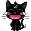 =Gato=negro halloween 2