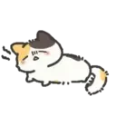 Animalitos UwU Mov 9