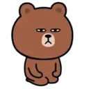 Bear with bad eyes MOV. 13