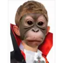Monos Chidos 21