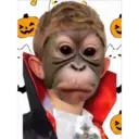 Monos Chidos 25