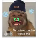 Monos Chidos 20