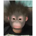 Monos Chidos 17