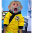 Monos Chidos 2