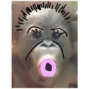 Monos Chidos 6