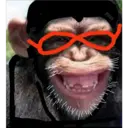 Monos Chidos 16