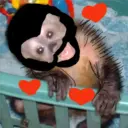 Monos Chidos 5