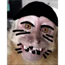 Monos Chidos 14