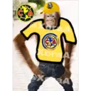 Monos Chidos 13