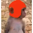 Monos Chidos 9