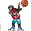 Monos Chidos 18