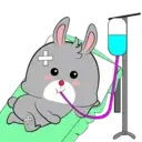 RaBbiT WiTh GlAsSeS (Mov) 15