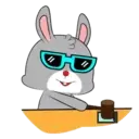 RaBbiT WiTh GlAsSeS (Mov) 8