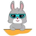 RaBbiT WiTh GlAsSeS (Mov) 14