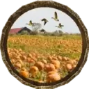 पतझड़ 1 24