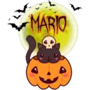 Calabaza Cute 1 20
