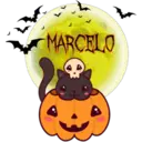 Calabaza Cute 1 4