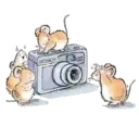 Mouse Cute ✺1 24