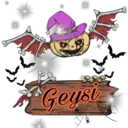 TID
33
Geysi