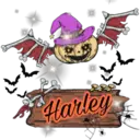 Harley