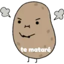 Potato pink 2 17