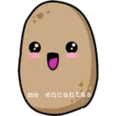 Potato pink 2 10
