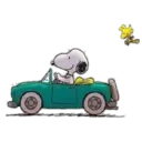 Snoopy ✺1 24