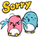 Sorry
