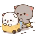 MOCHIS CAT Extra"S" MOV 17