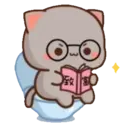 MOCHIS CAT Extra"S" MOV 15