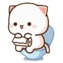 MOCHIS CAT Extra"S" MOV 6