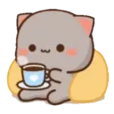 MOCHIS CAT Extra"S" MOV 11