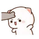 MOCHIS CAT Extra"S" MOV 13