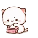 MOCHIS CAT Extra"S" MOV 20