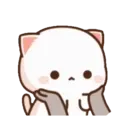 MOCHIS CAT Extra"S" MOV 21