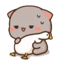 MOCHIS CAT Extra"S" MOV 1