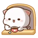 MOCHIS CAT Extra"S" MOV 9