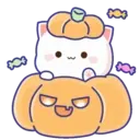 MOCHIS CAT Extra"U" MOV 15