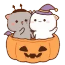 MOCHIS CAT Extra"U" MOV 9