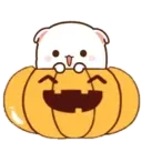 MOCHIS CAT Extra"U" MOV 8