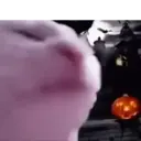Mix Halloween Mov 5 17