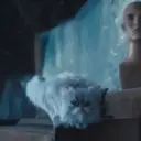 Lilo,Lilo Cocodrilo 19