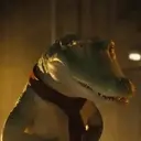 Lilo,Lilo Cocodrilo 20