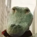 Lilo,Lilo Cocodrilo 25